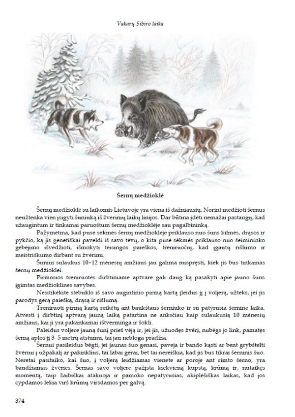 Knyga "Vakarų Sibiro laika" - Image 9