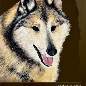 Knyga "Vakarų Sibiro laika"